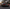 Carbon Fiber Rear Diffuser – Audi R8 V10 Gen 2 (2016-2019) - Exotics Carbon Design