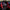 Carbon Fiber Steering Wheel with Red Leather – Chevrolet Corvette C8 (2020–2024) - Exotics Carbon Design