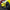 Chevrolet Corvette C8 AD Style Carbon Fiber Side Skirts - Exotics Carbon Design