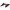 Chevrolet Corvette C8 - HTC Carbon Fiber Rear Nacelle Covers (2020+) - Exotics Carbon Design