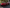 Chevrolet Corvette C8 Z06 / E-Ray – Carbon Fiber Side Skirts - Exotics Carbon Design