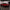 Corvette C8 Z06/E-Ray - ZR1 ZTK Style Carbon Fiber Aero Kit - Exotics Carbon Design