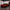 Corvette C8 Z06/E-Ray - ZR1 ZTK Style Carbon Fiber Aero Kit - Exotics Carbon Design