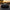 Corvette C8 ZR1 Style Carbon Fiber Wing – Stingray / Z06 / E-Ray - Exotics Carbon Design