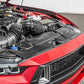 Direct Replacement Carbon Fiber Radiator Shroud for 2024+ Ford Mustang - Exotics Carbon Design