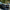 Dodge Charger – Carbon Fiber Layered Front Lip - Exotics Carbon Design