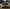 Exotic Design Carbon Fiber Front Hood - Aston Martin Vantage (2019+) - Exotics Carbon Design