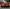 Exotic Design Corvette C8 - Carbon Fiber Rear Diffuser - Exotics Carbon Design