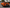 Exotic Design Corvette C8 - Carbon Fiber Rear Diffuser - Exotics Carbon Design