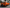 Exotic Design Corvette C8 - Carbon Fiber Rear Diffuser - Exotics Carbon Design