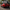 Ferrari 296 GTB NVC Style Carbon Fiber Side Skirts - Exotics Carbon Design