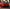 Ferrari SF90 - Carbon Fiber Rear Diffuser - Exotics Carbon Design