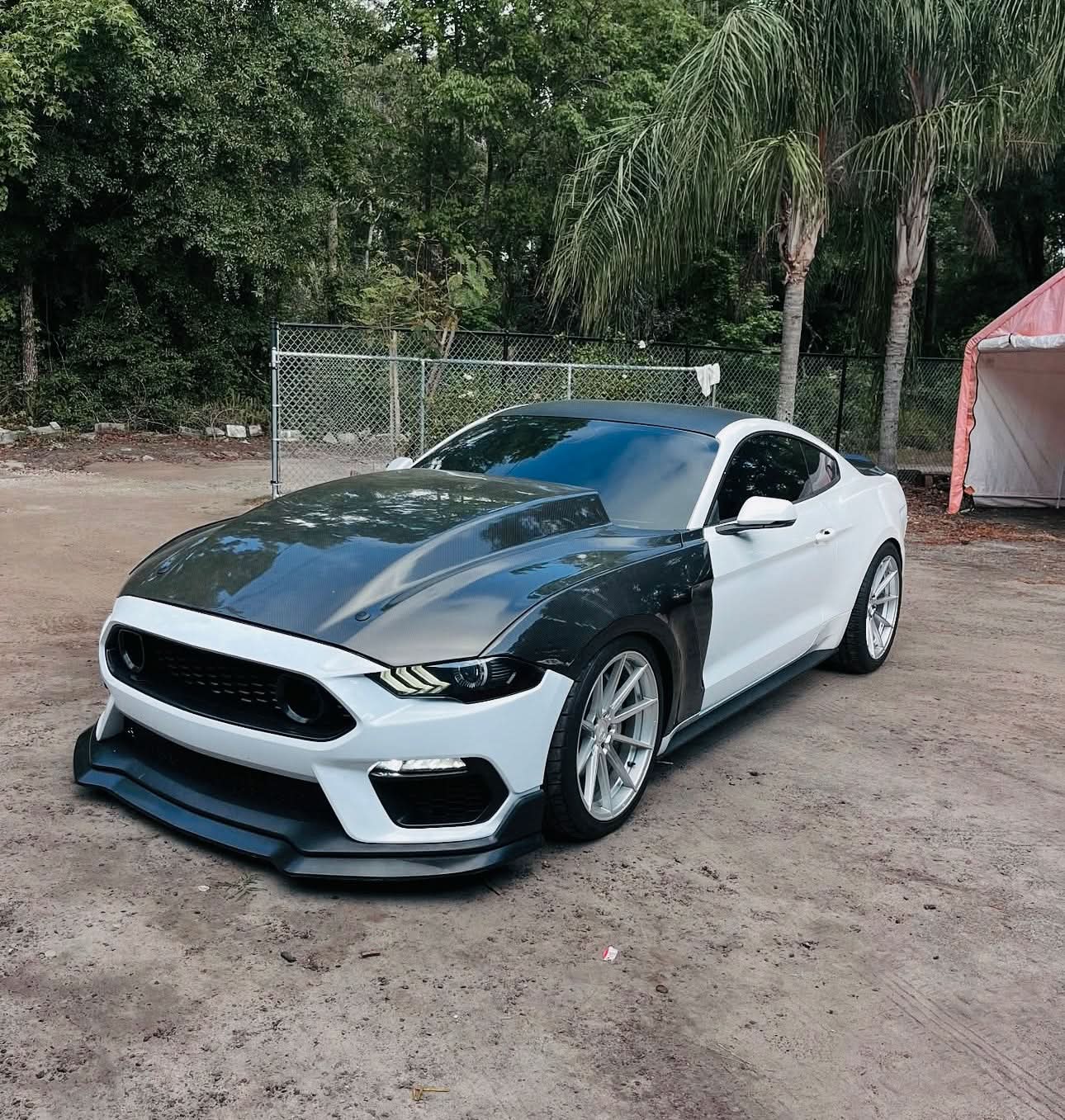 Ford Mustang (2018 - 2023) - Carbon Fiber Supercharged Style Front Hood - Exotics Carbon Design