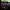 Ford Mustang S550 (2015–2023) – Carbon Fiber Steering Wheel Trim - Exotics Carbon Design