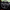 Ford Mustang S550 (2015–2023) – Carbon Fiber Steering Wheel Trim - Exotics Carbon Design