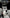 Ford Mustang S650 (2024+) – Full Carbon Fiber Center Console Trim - Exotics Carbon Design