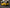 High Quality Carbon Fiber Wing - Chevrolet Corvette C8 (2020–2024) - Exotics Carbon Design