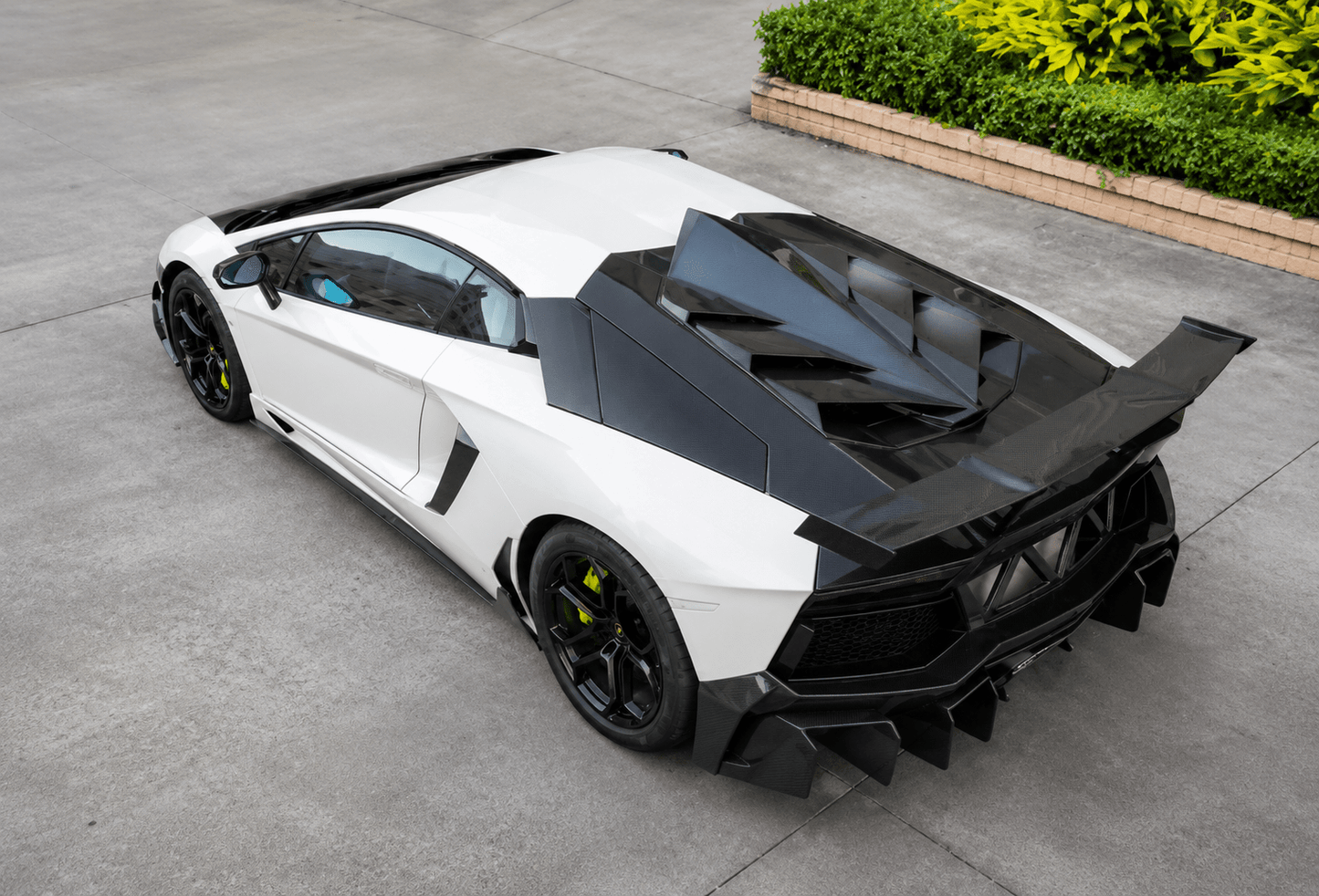 Lamborghini Aventador - Carbon Fiber Engine Bay Cover - Exotics Carbon Design
