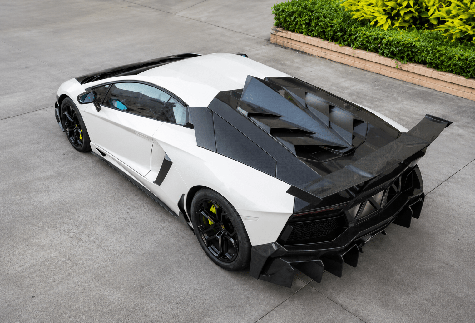 Lamborghini Aventador - Carbon Fiber Engine Bay Cover - Exotics Carbon Design