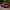 Lamborghini Huracan STO Carbon Fiber Body Kit Trim Package - Exotics Carbon Design