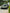Lamborghini Huracan STO Carbon Fiber Body Kit Trim Package - Exotics Carbon Design