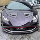 Lamborghini Huracan STO Outer Carbon Fiber Hood Trim - Exotics Carbon Design