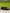 Lamborghini Revuelto Carbon Fiber Side Skirts - Exotics Carbon Design