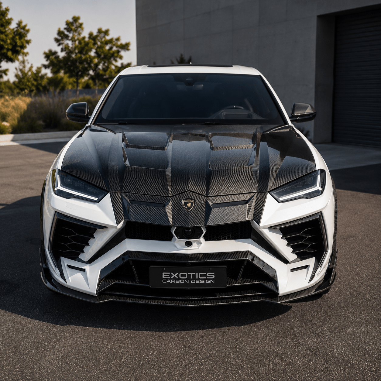 Lamborghini Urus - MSY Style Carbon Fiber Front Vented Hood - Exotics Carbon Design