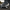 Lamborghini Urus - MSY Style Carbon Fiber Front Vented Hood - Exotics Carbon Design
