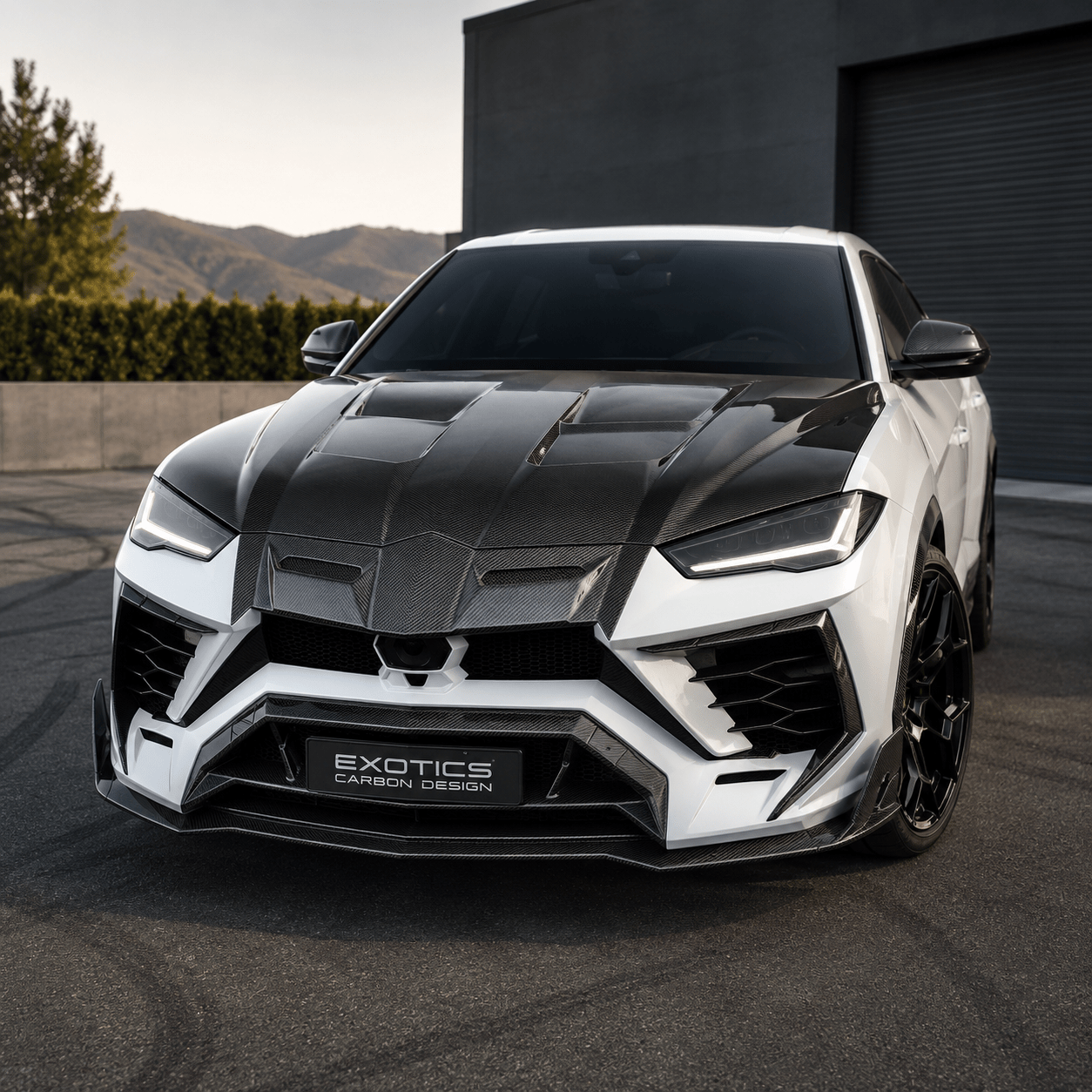 Lamborghini Urus - MSY Style Carbon Fiber Front Vented Hood - Exotics Carbon Design