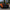 McLaren 540C / 570S / 570GT Pre-Preg Carbon Fiber 600LT Style Rear Spoiler - Exotics Carbon Design