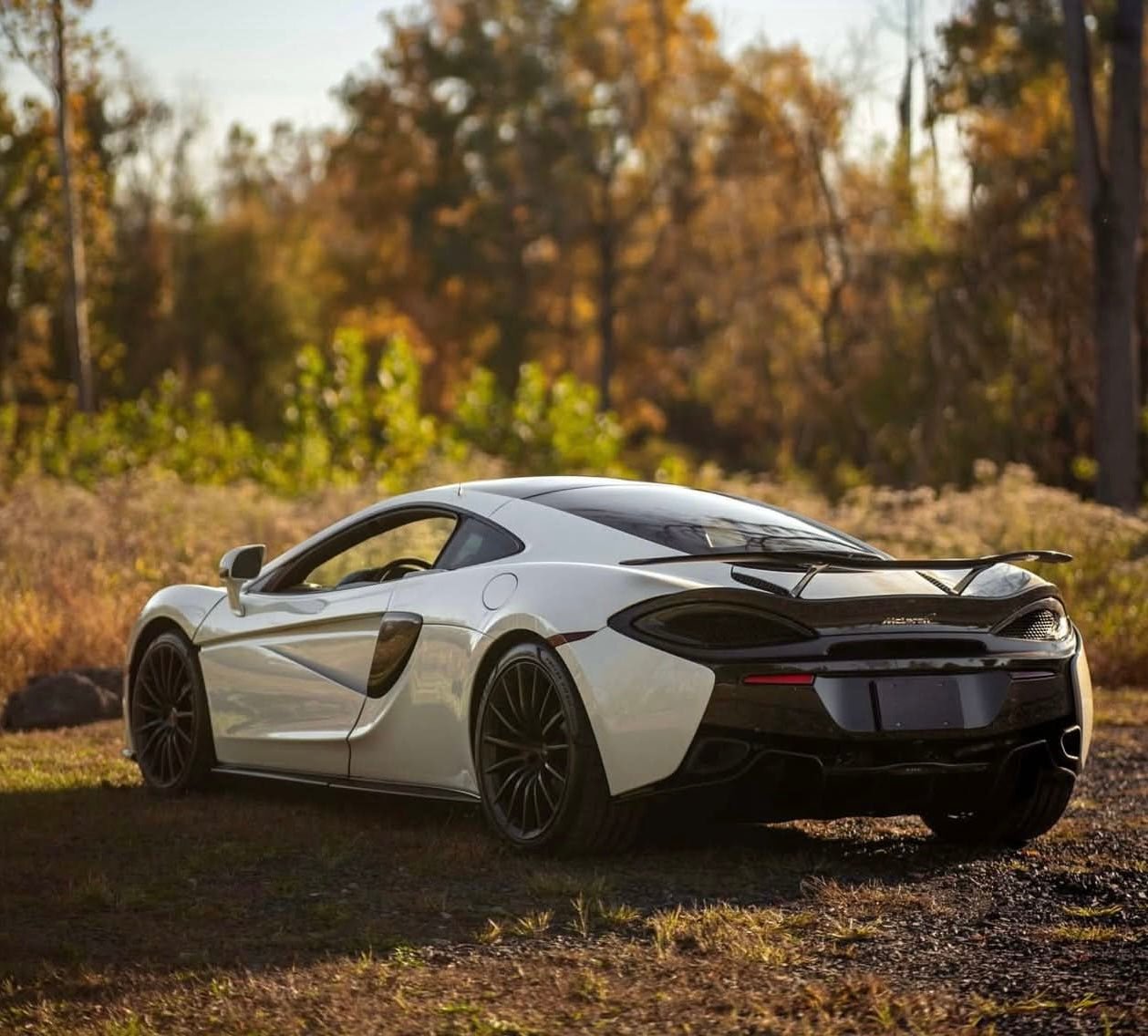 McLaren 570S / 570GT / 540C Carbon Fiber Race Spoiler - Exotics Carbon Design