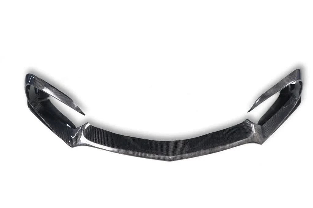 Mercedes AMG GT / GTS / GTC (2018 - 2021) - Carbon Fiber Front Lip - Exotics Carbon Design