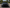 MSY-Style Carbon Fiber Vented Hood - Bentley Continental GT (2019–2025) - Exotics Carbon Design
