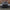 MSY - Style Carbon Fiber Vented Hood - Bentley Continental GT (2019–2025) - Exotics Carbon Design