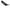 Nissan GT-R R35 W-Style Carbon Fiber Rear Diffuser - Exotics Carbon Design