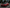 Porsche 911 992 Carrera EC Design Carbon Fiber Front Hood - Exotics Carbon Design