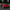 Porsche 911 (992) GT3 RS Carbon Fiber Complete Body Kit - Exotics Carbon Design