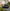 Porsche 911 (992) - GT3 RS Style Carbon Fiber Rear Spoiler - Exotics Carbon Design
