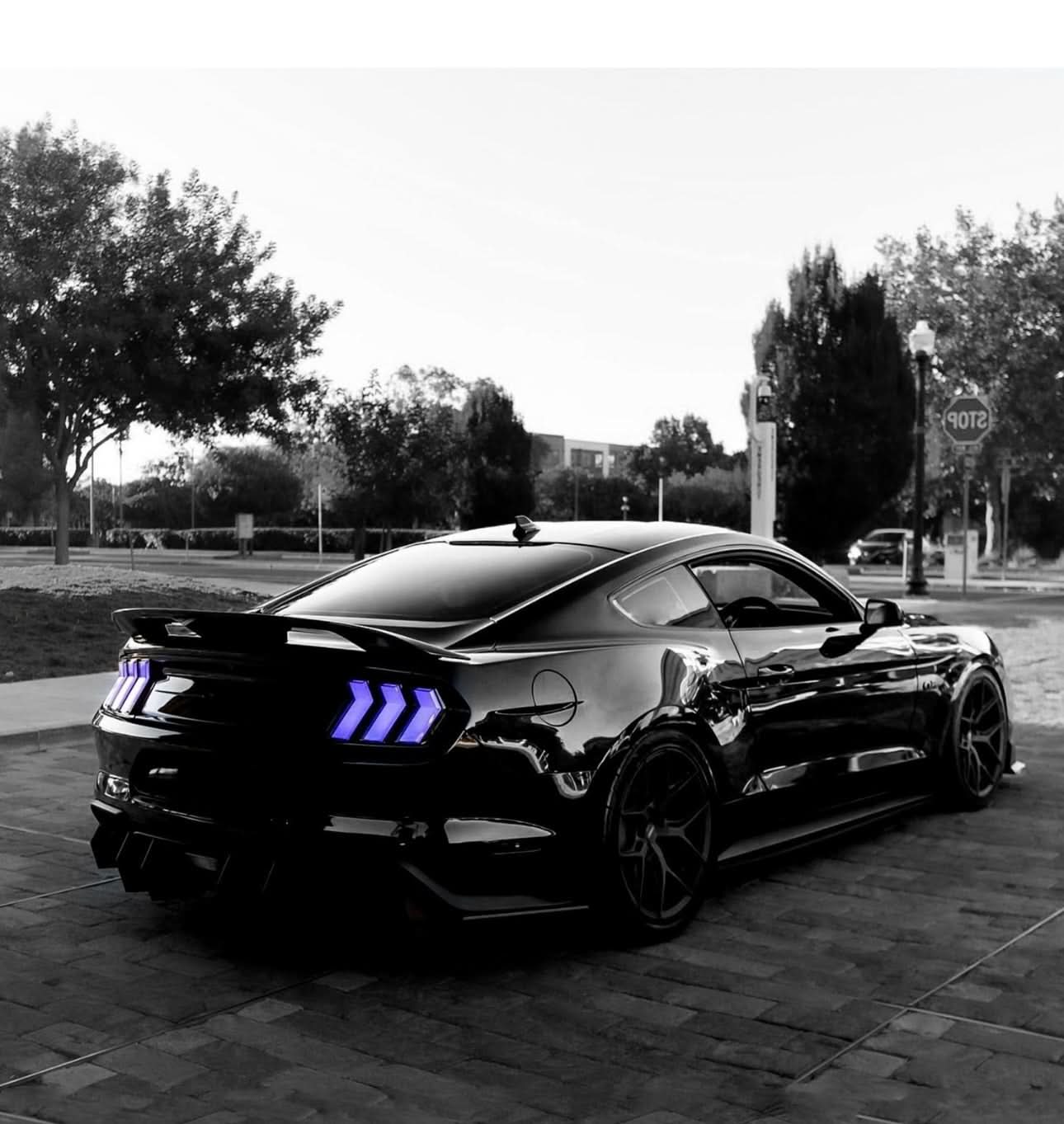 RGB Colorful LED Taillights Color - Changing with Sequential Turn Signals - Ford Mustang (2015–2023) - Exotics Carbon Design