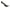 Tesla Model Y (2020 - 2024) - Carbon Fiber Rear Diffuser Lip - Exotics Carbon Design