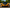 V-Style Vented Carbon Fiber Front Hood – McLaren 720S (2017–2022) - Exotics Carbon Design