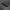 Vented Carbon Fiber Hood - Lexus RC F (2015–2023) - Exotics Carbon Design
